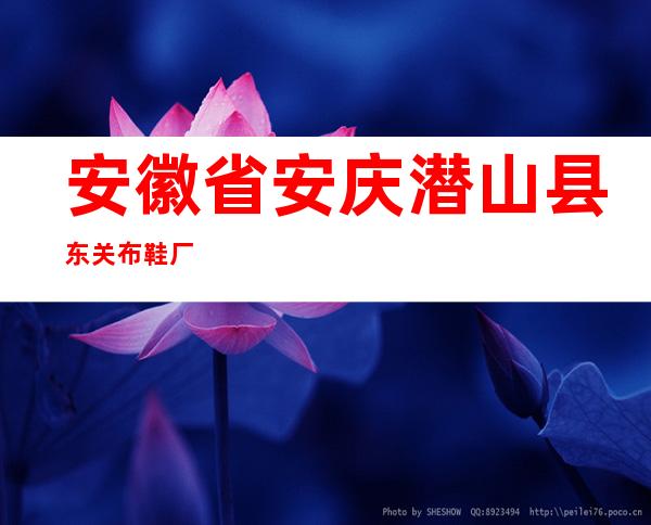 安徽省安庆潜山县东关布鞋厂